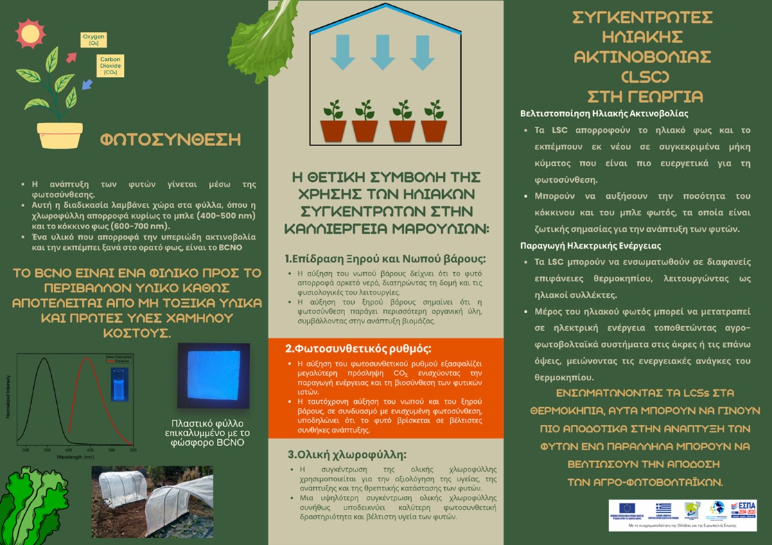 Ενημερωτικό φυλάδιο έργου Innogrowth